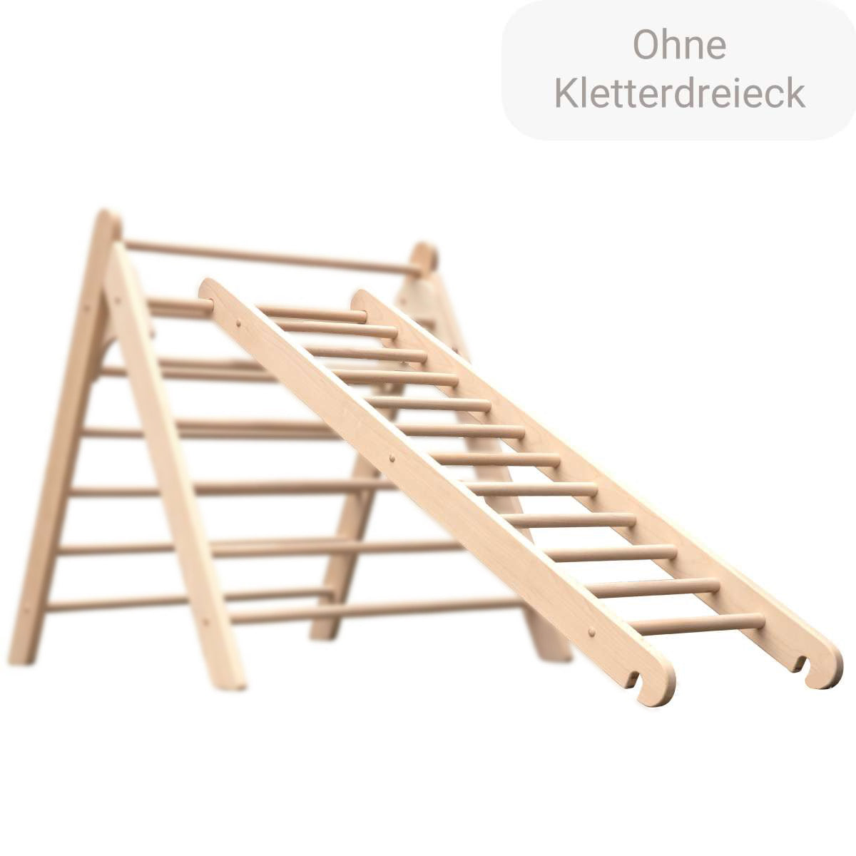 Sprossenleiter