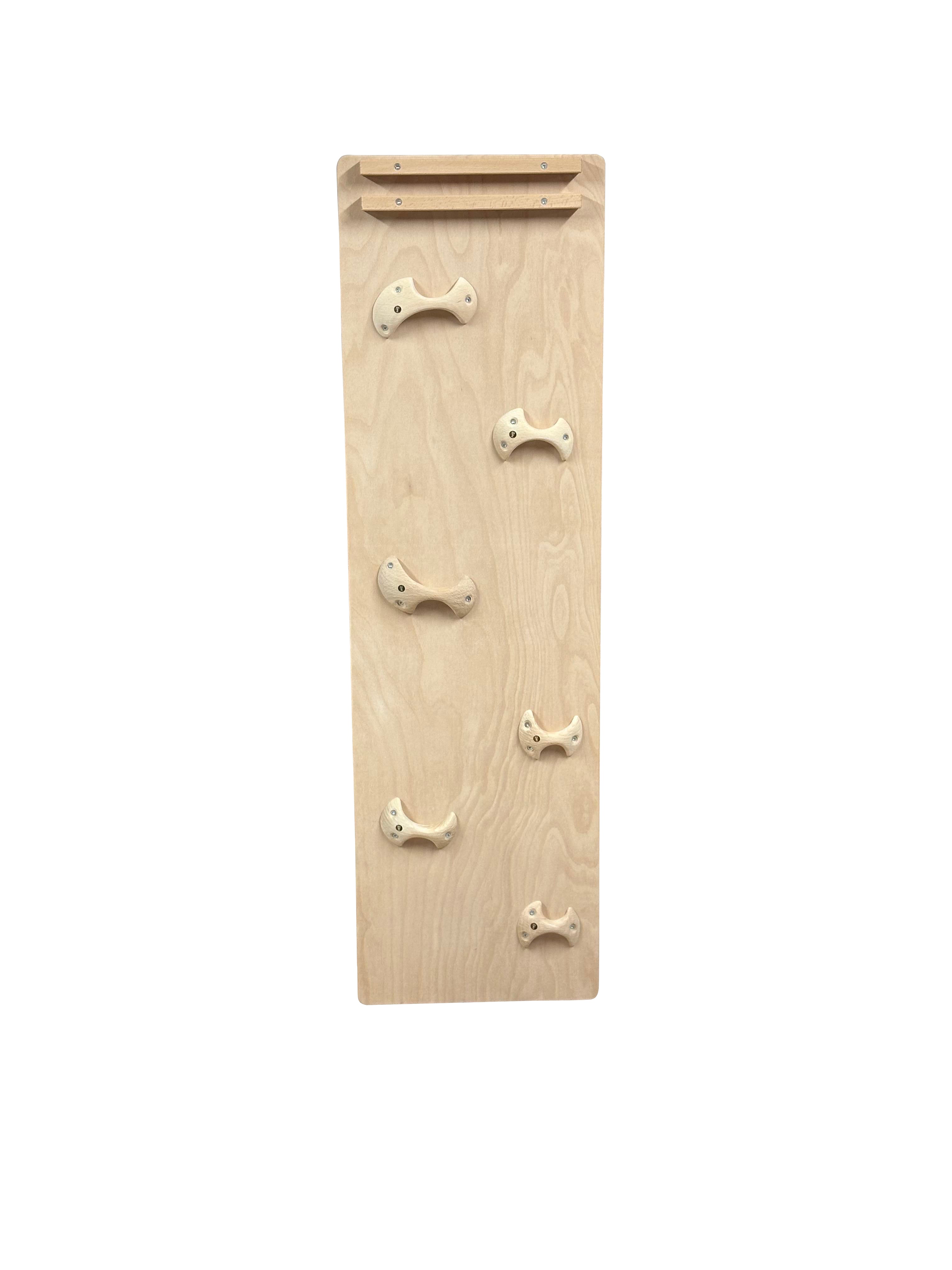 Kletterwand / Rutsche